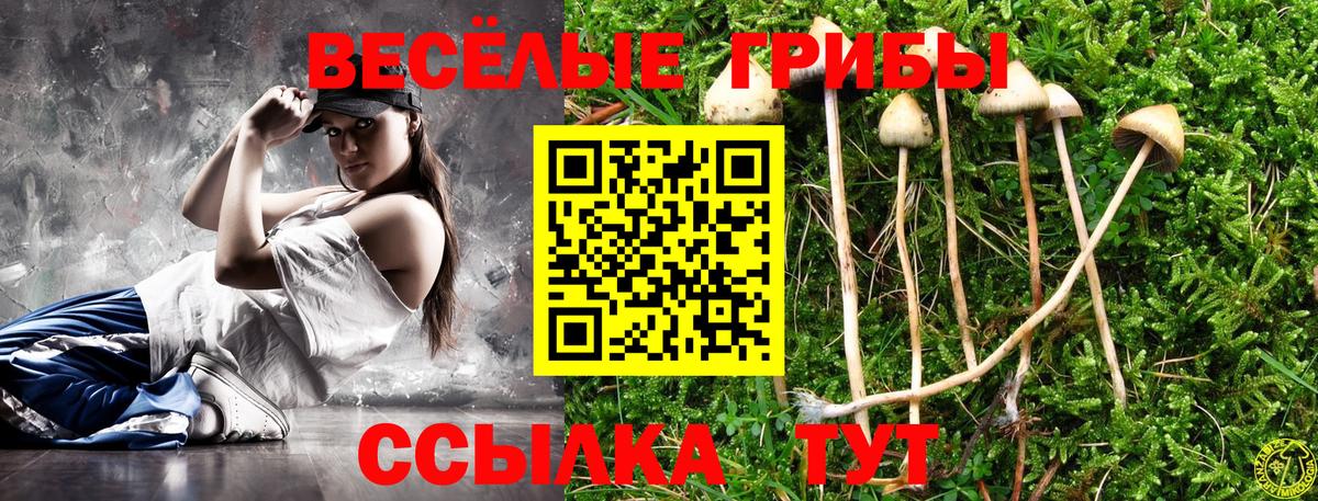 Владивосток  Галлюциногенные грибы MAGIC MUSHROOMS  Галлюциногенные грибы мицелий  Вход с VPN 