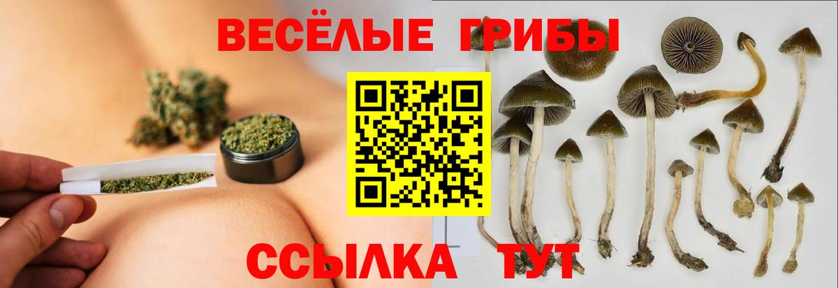 Псилоцибиновые грибы прущие грибы Владивосток